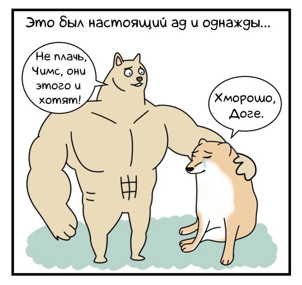 Мемы собака качок