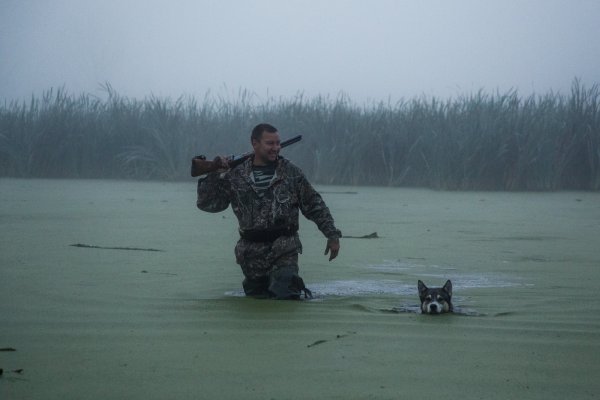 Охотник идёт по болоту