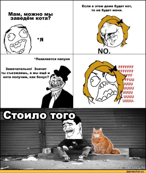 Смешные мемы про котиков
