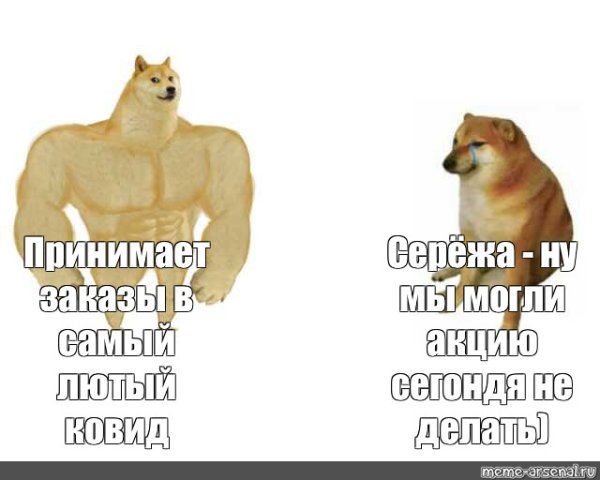 Накаченный пес Мем