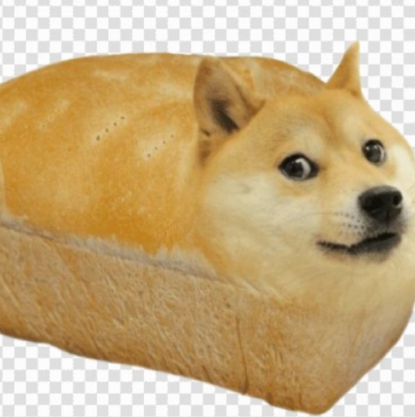 Шиба ину хлеб