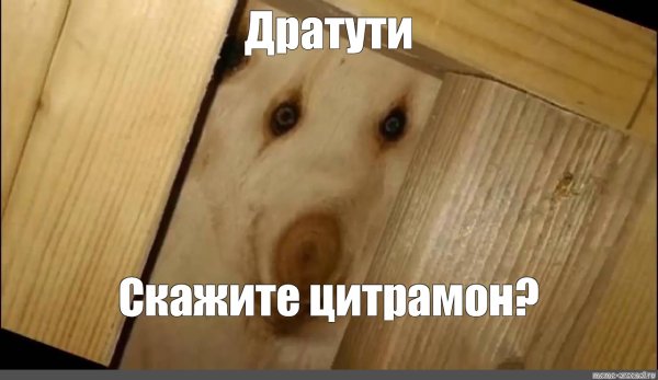 Дратути Мем