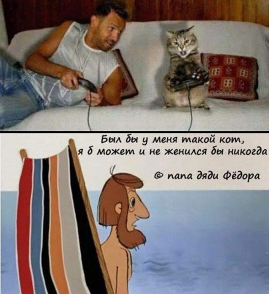 Был бы у меня такой кот я может и не женился бы никогда