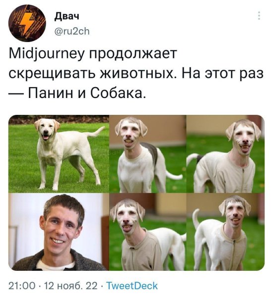 Панин Мем