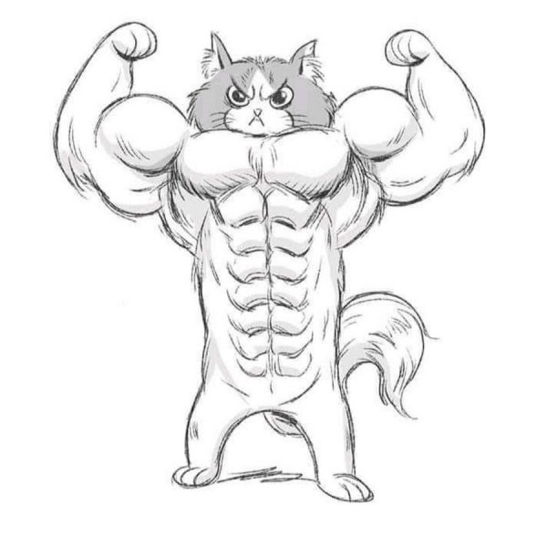 Кошка качок