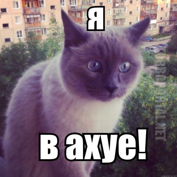 Я В шоке Мем