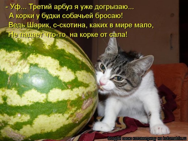 Прикольный Арбуз