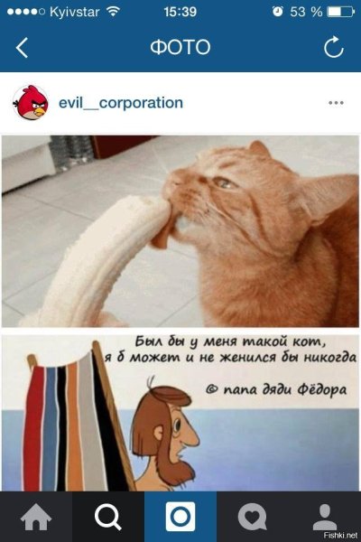 Если бы у меня был ткекой кот 