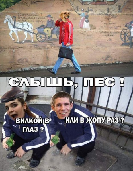 Мемы про Панина и собаку