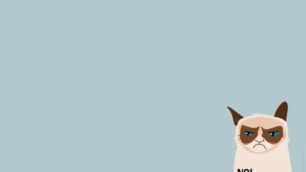 Заставка на рабочий стол кот