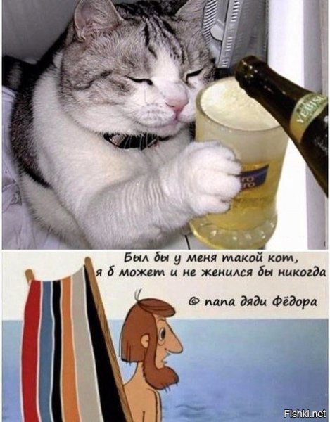 Если у меня был такой кот