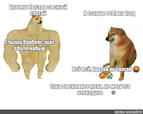 Сиба ину Мем качок