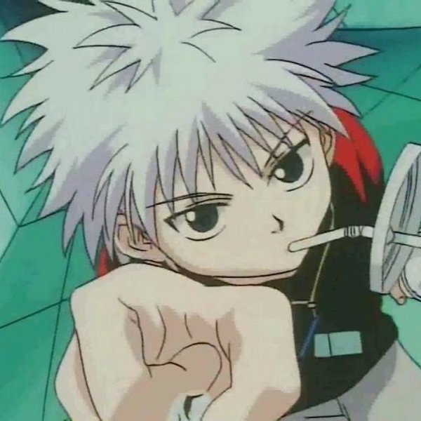 Собака в кожаной куртке