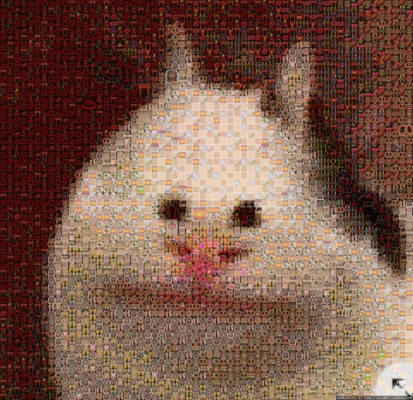 Кота Жмыхнуло