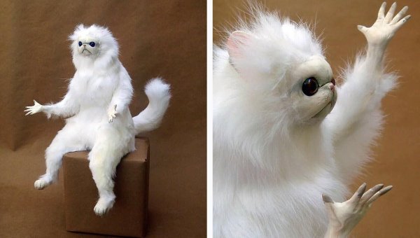 Зачтено Мем