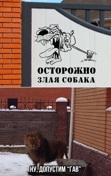 Осторожно, злая собака!