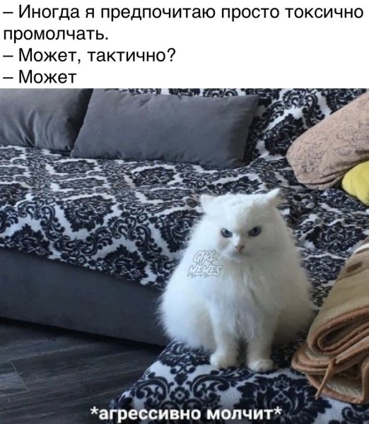 Агрессивно молчит кот Мем