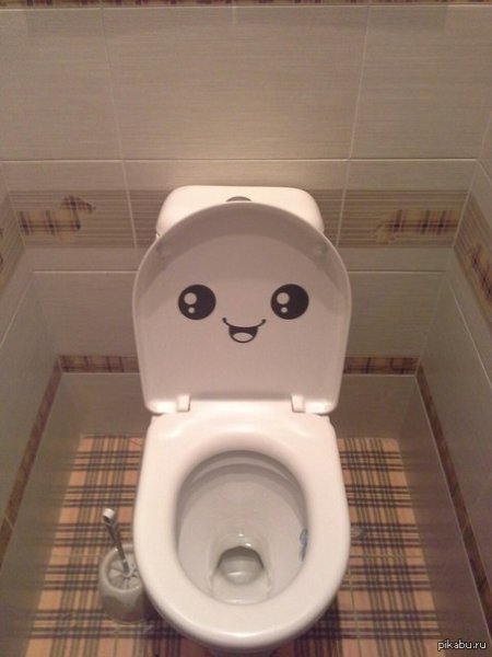 Туалетные мемы