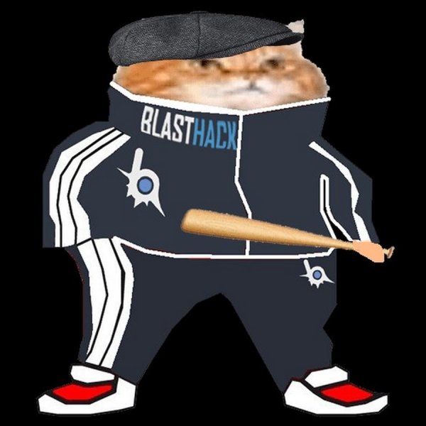 Кот в спортивках