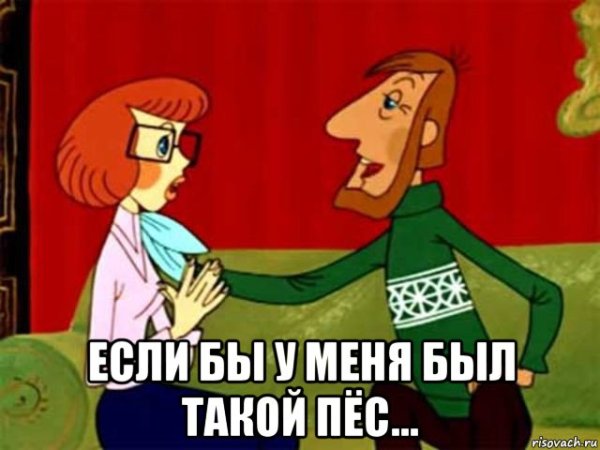 Простоквашино была бы у меня такая собака