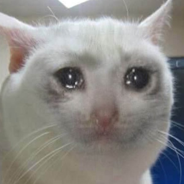 Котик со слезами