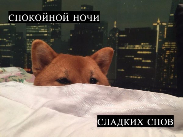 Пикча спокойной ночи