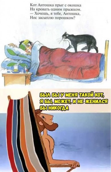 Был у меня такой кот может