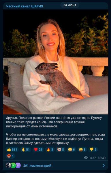 Собака Шария Мем