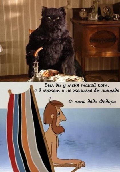 Если у меня был такой кот