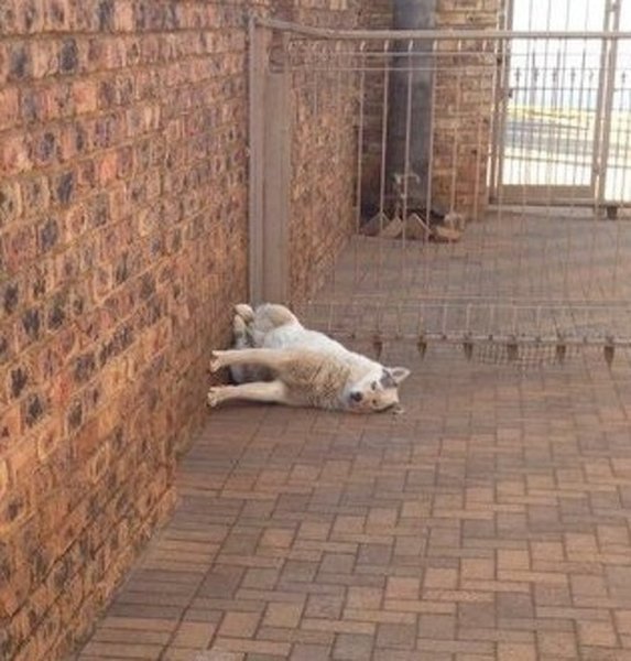 Сел полежать