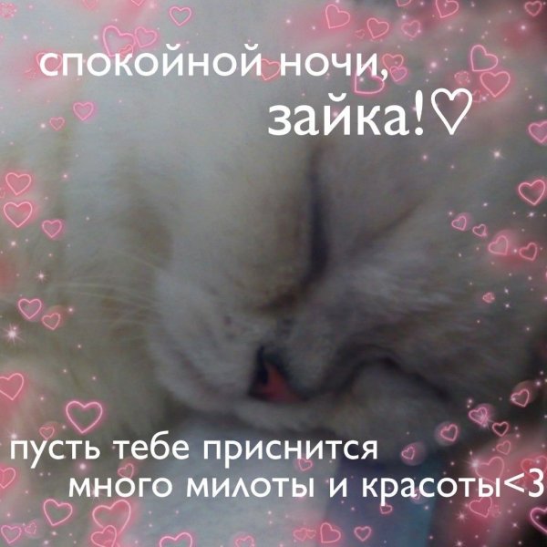 Пикчи спокойной ночи