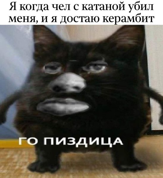 Коты для важных переговоров