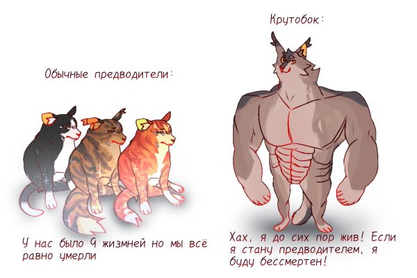 Коты Воители шутки
