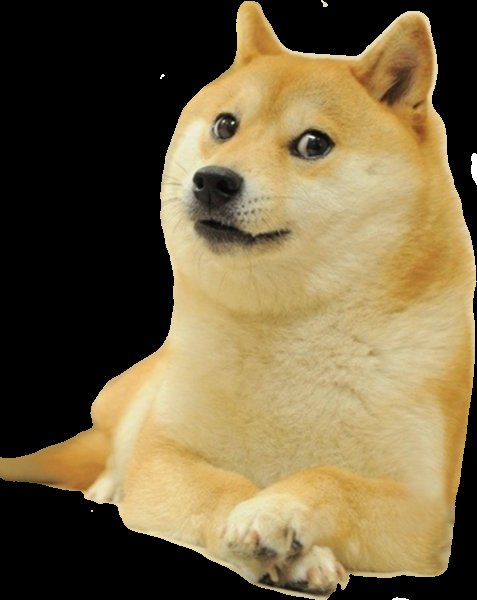 Собака doge