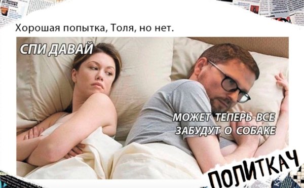 Шарий и собака