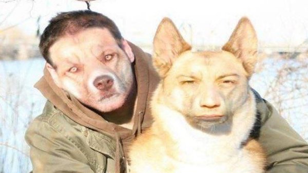 Лицо собаки