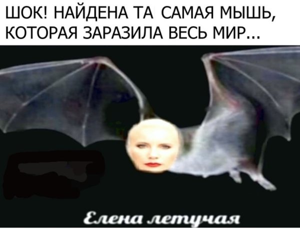 Елена летучая Мем с летучей мышью