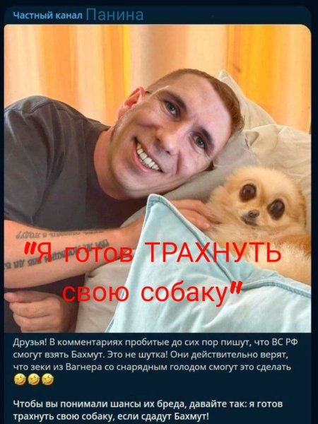 Шарий Панин собака