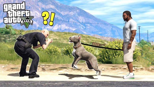 Питбуль ГТА 5