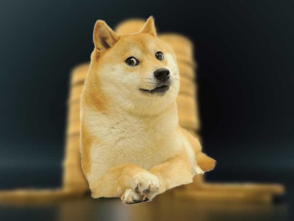 Шиба ину крипта