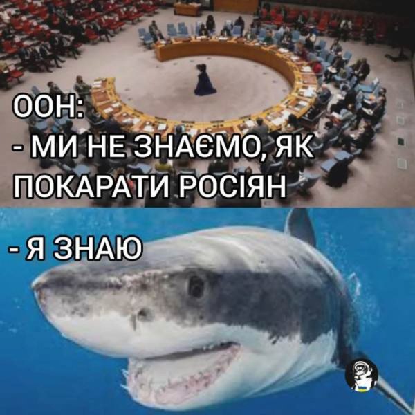 Мемы про акул