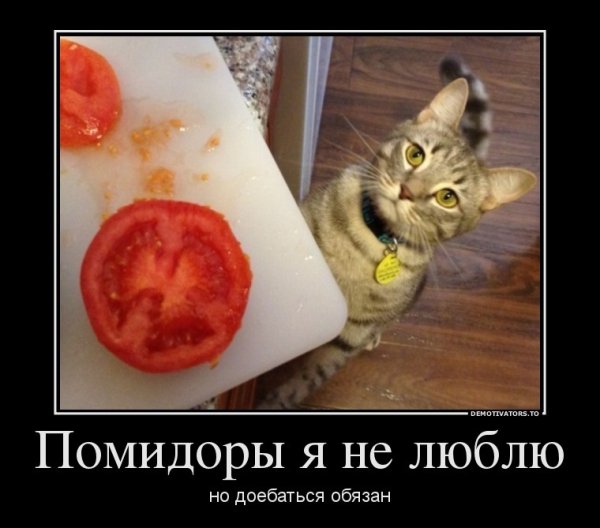 Люблю помидоры