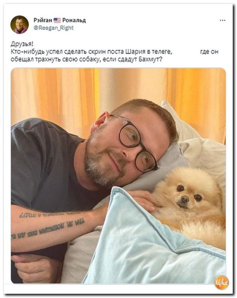 Мемы про Шария