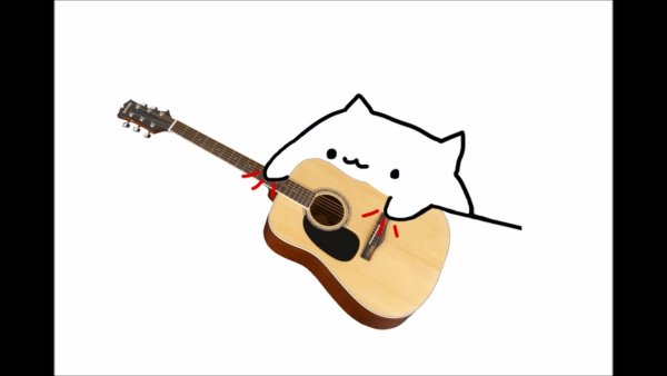 Коты с гитарой