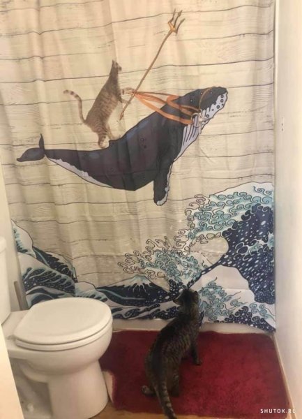 Занавеска для ванной с котом на акуле