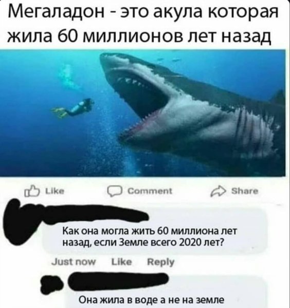 Акула Живая 60 млн лет, назад