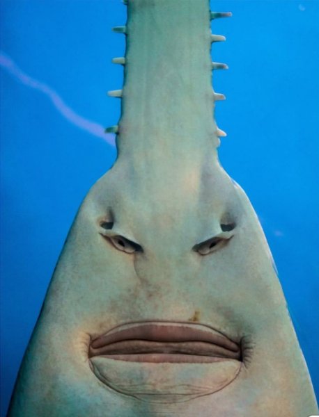 Упоротые рыбы