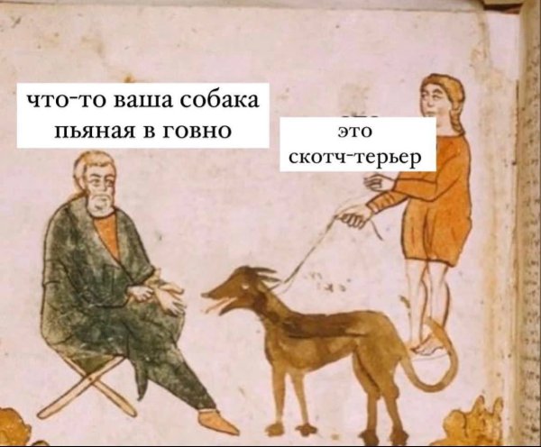 Дед смотри собака