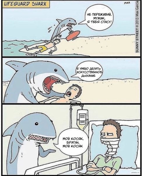 Акула прикол