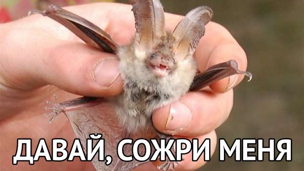 Я тьма я смерть